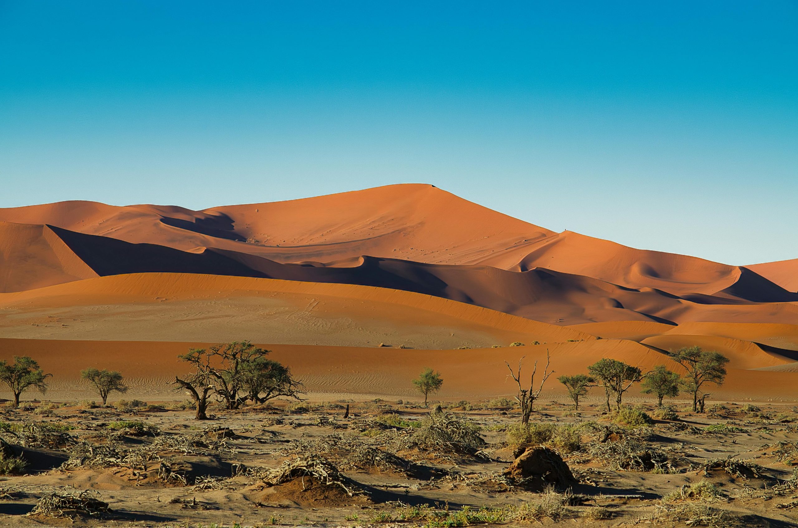 Stunning Sossusvlei desert landscape with red dunes and sparse vegetation in Namibia.